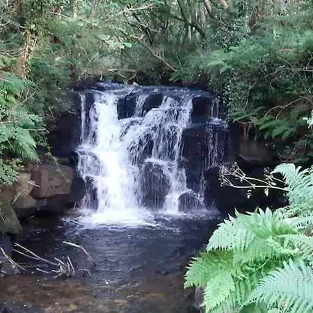 Διαμέρισμα Ben Haven Self Catering Ballaghnatrillick